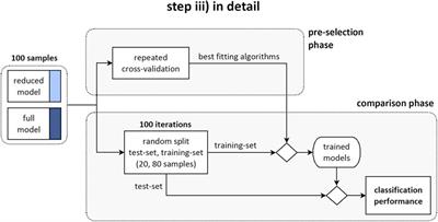 Accounting for Biomechanical Measures from Musculoskeletal Simulation of Upright Posture Does Not Enhance the Prediction of Curve Progression in Adolescent Idiopathic Scoliosis